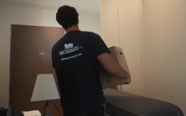 multiservices pro en déménagement professionnel avec carton